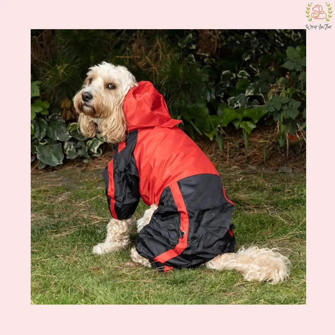 Red Black Raincoat