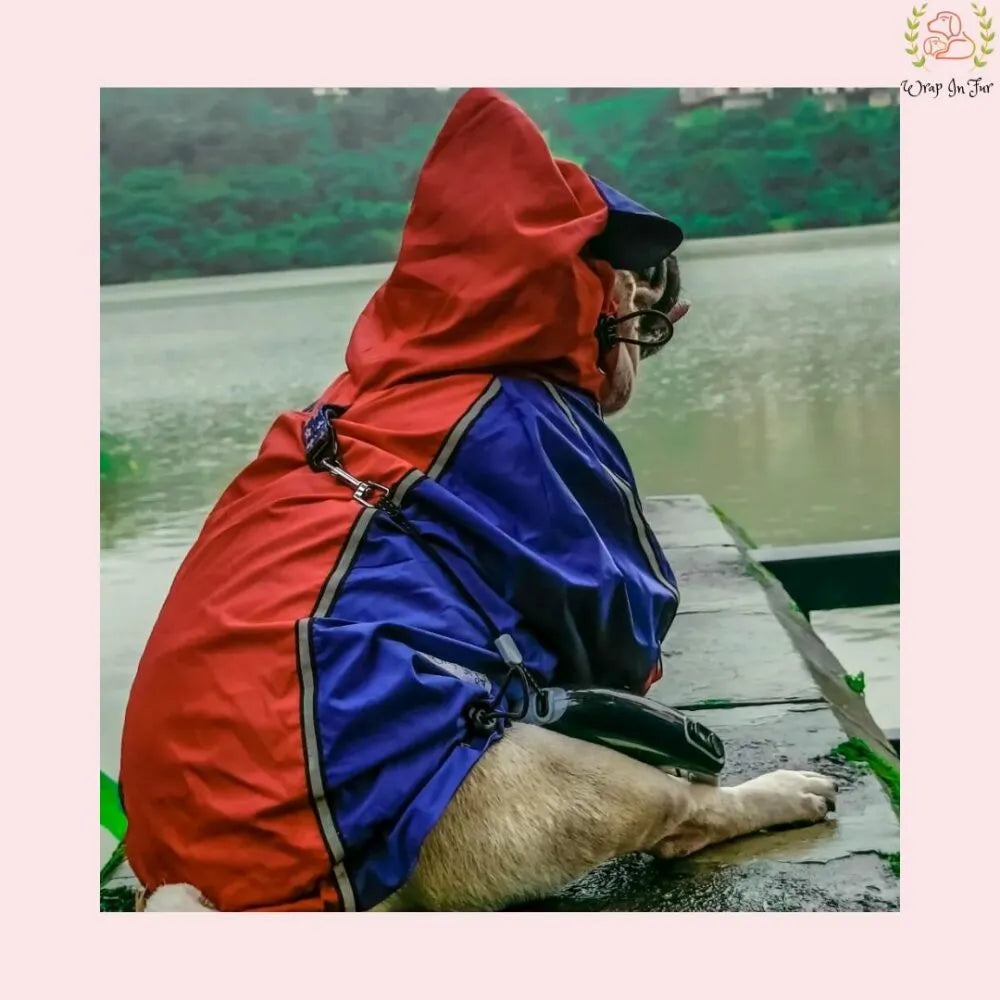 Red Blue Shirt Style Raincoat