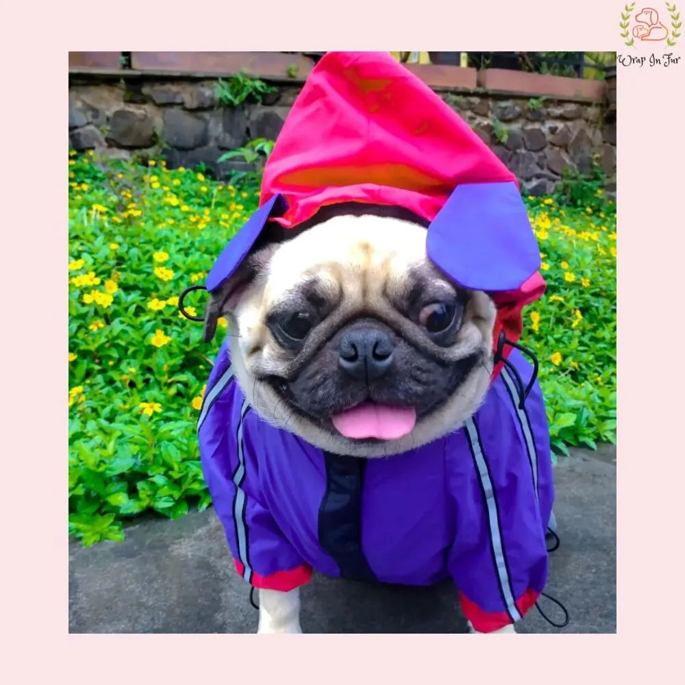 Red Blue Shirt Style Raincoat