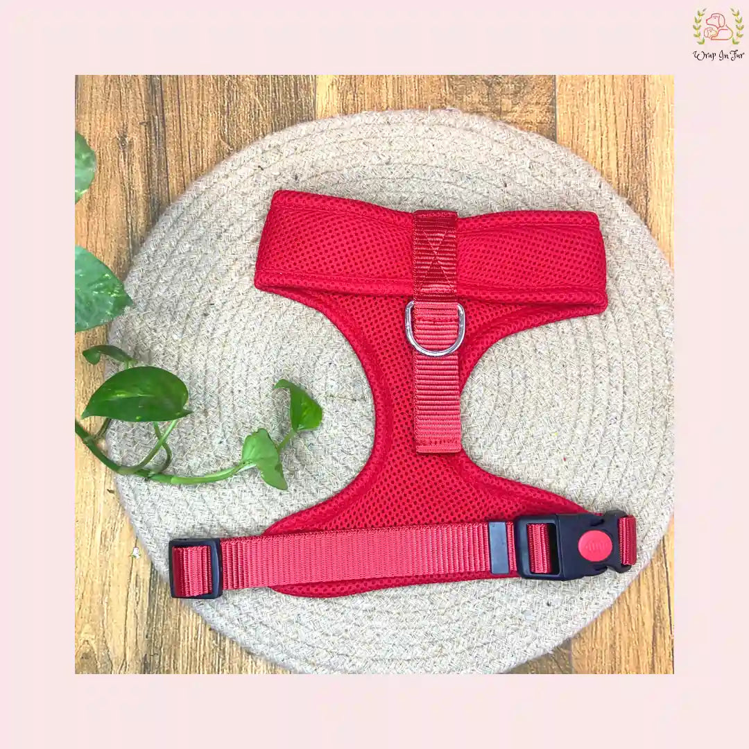 Red Dog Harness