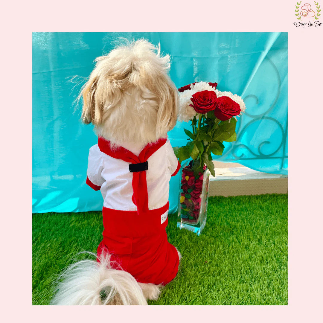 Red Sailor Dress