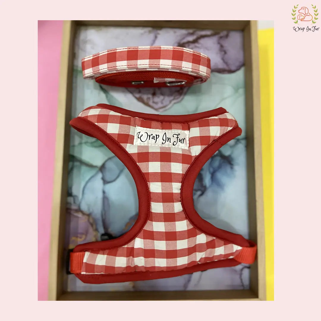 Red and White Harness