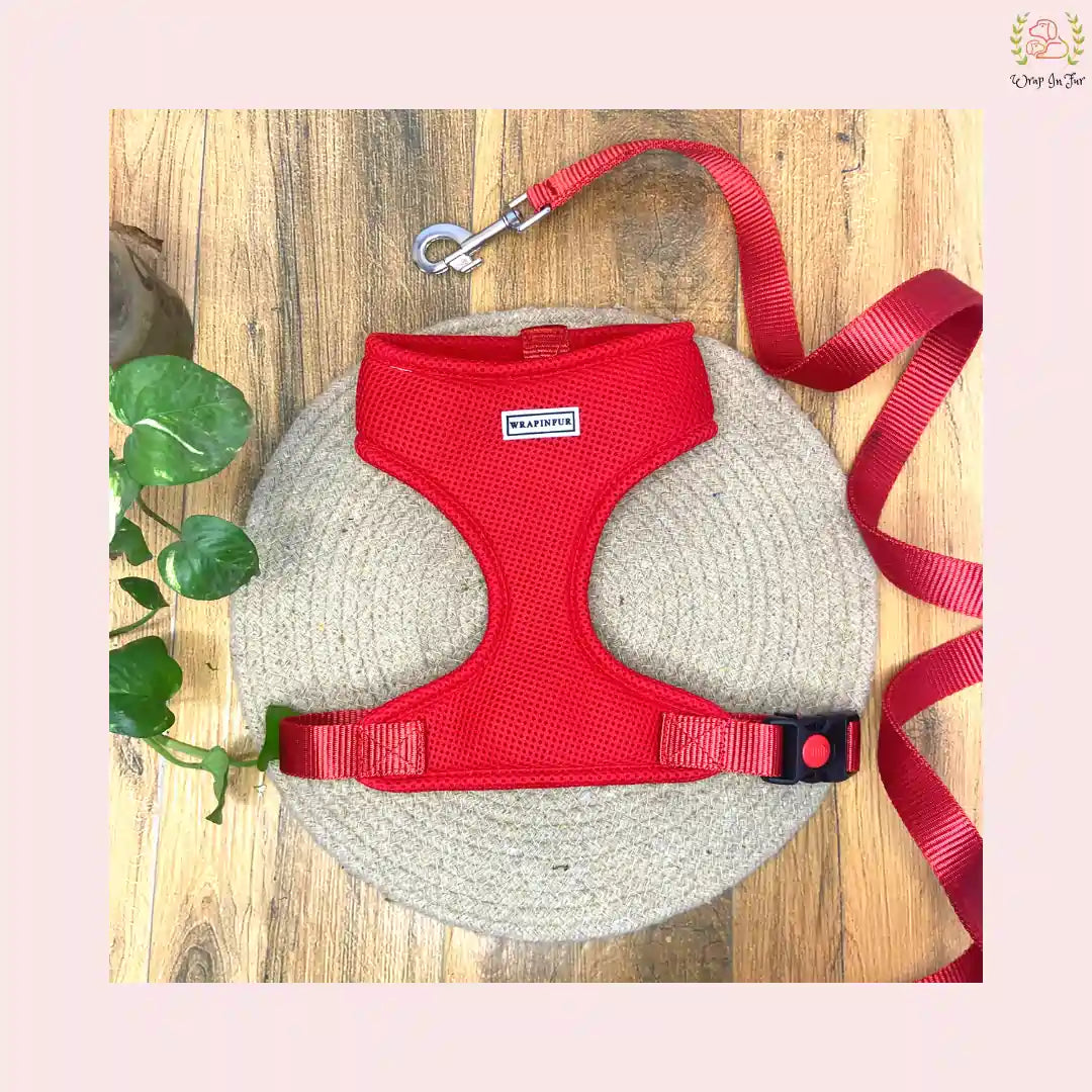 Red Dog Harness