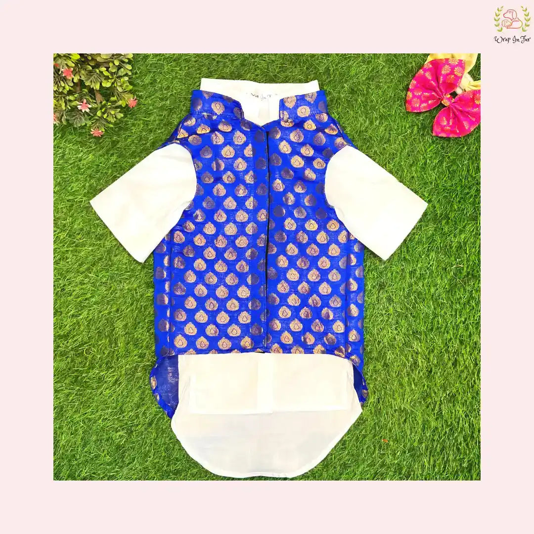 Royal Blue & Gold Brocade Dog Kurta Jacket Set - Indian Dog Ethnic Wear