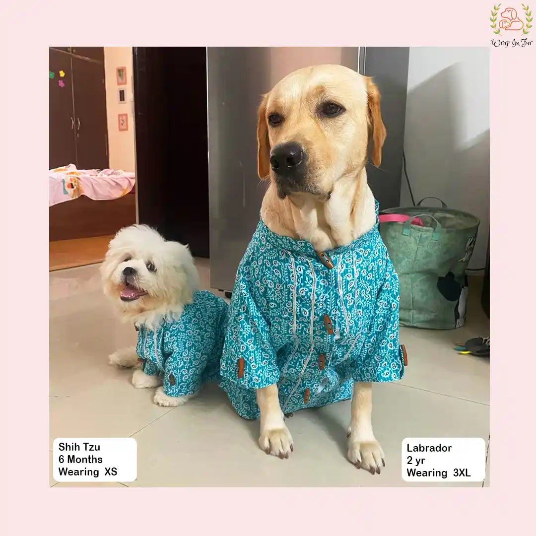 Shop Teal Gota Dog Kurta at ₹699| Rakhi Dog Kurta – Wrapinfur