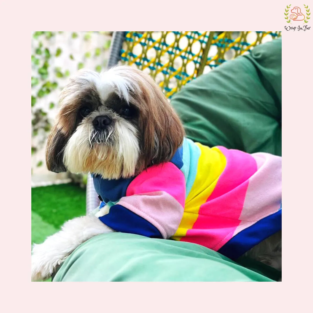 Tshirt shih tzu dress outfit