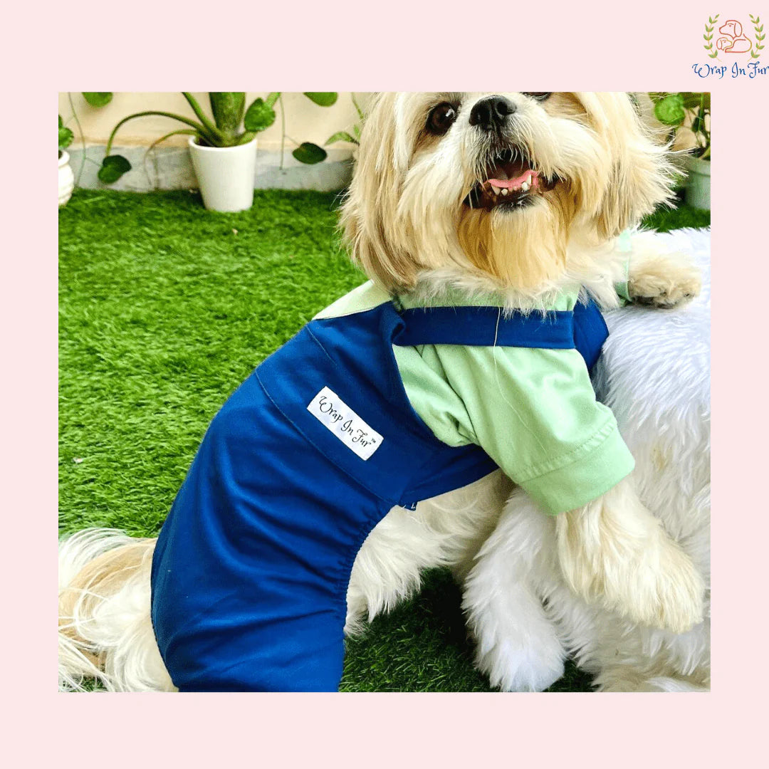 Two color Dungaree