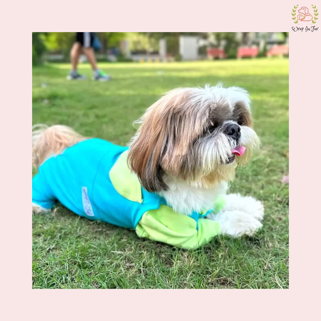 Two color Dungaree