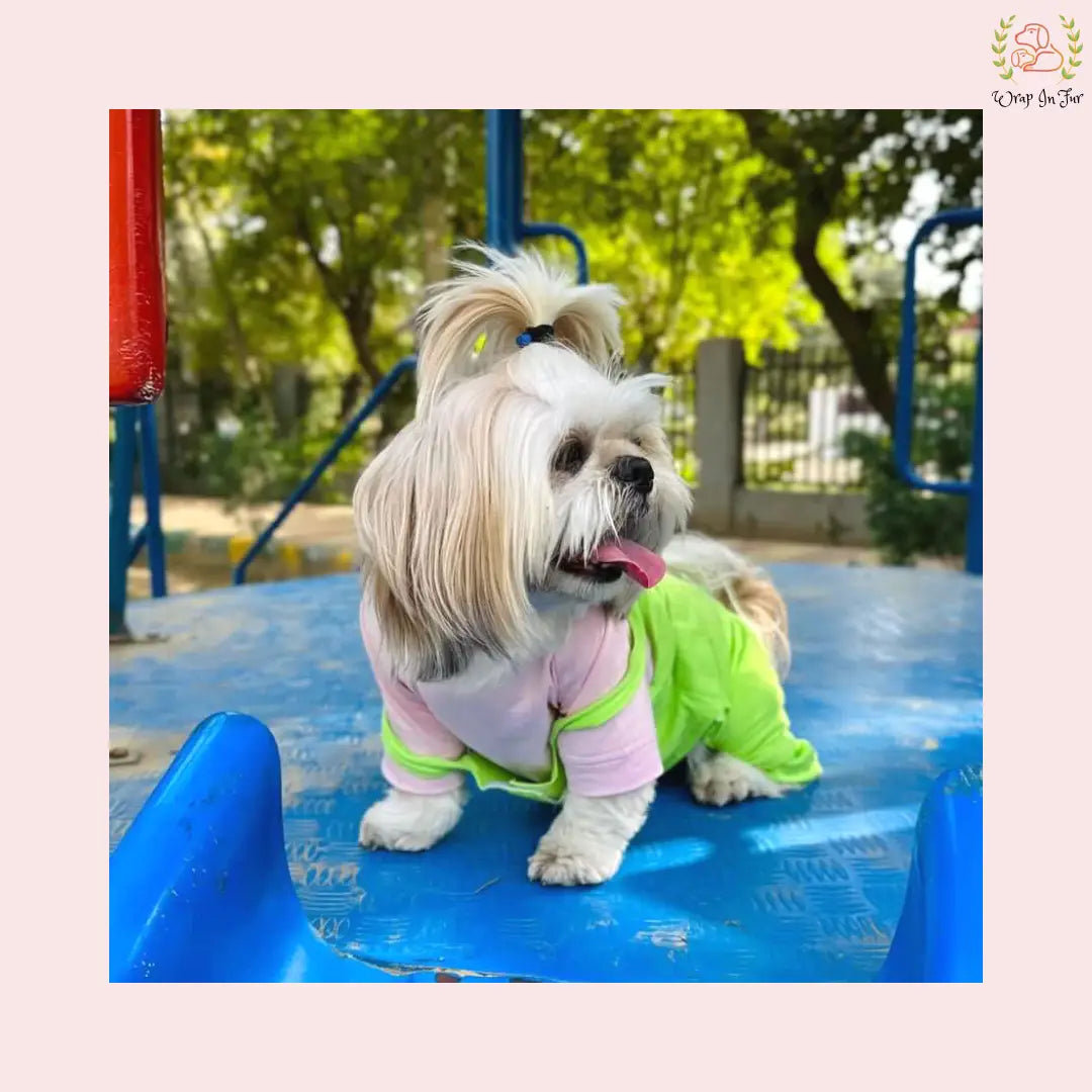 Two color Dungaree