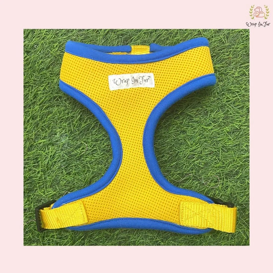 Yellow Blue Dog Harness