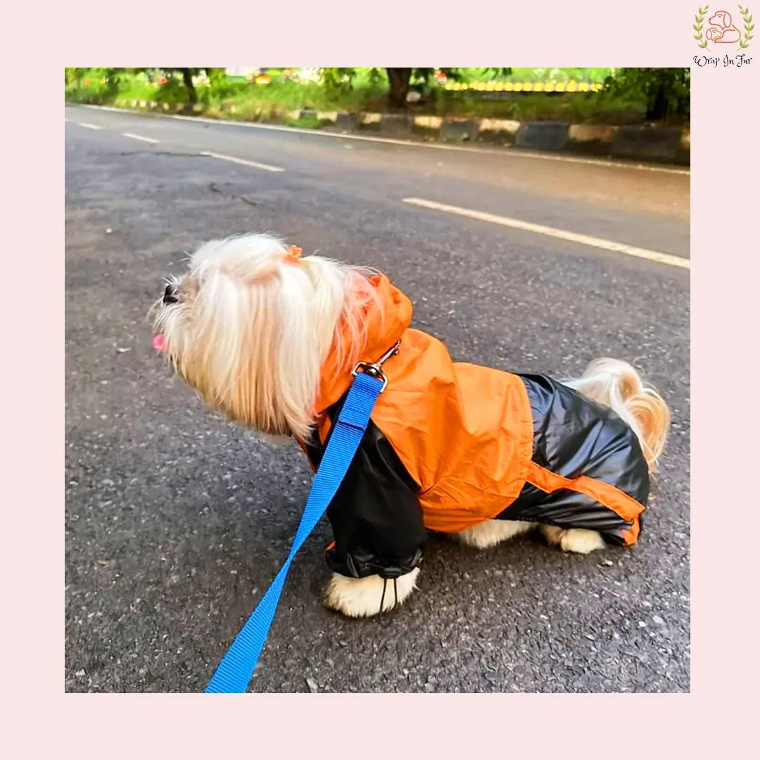 Orange Black Dog Raincoat