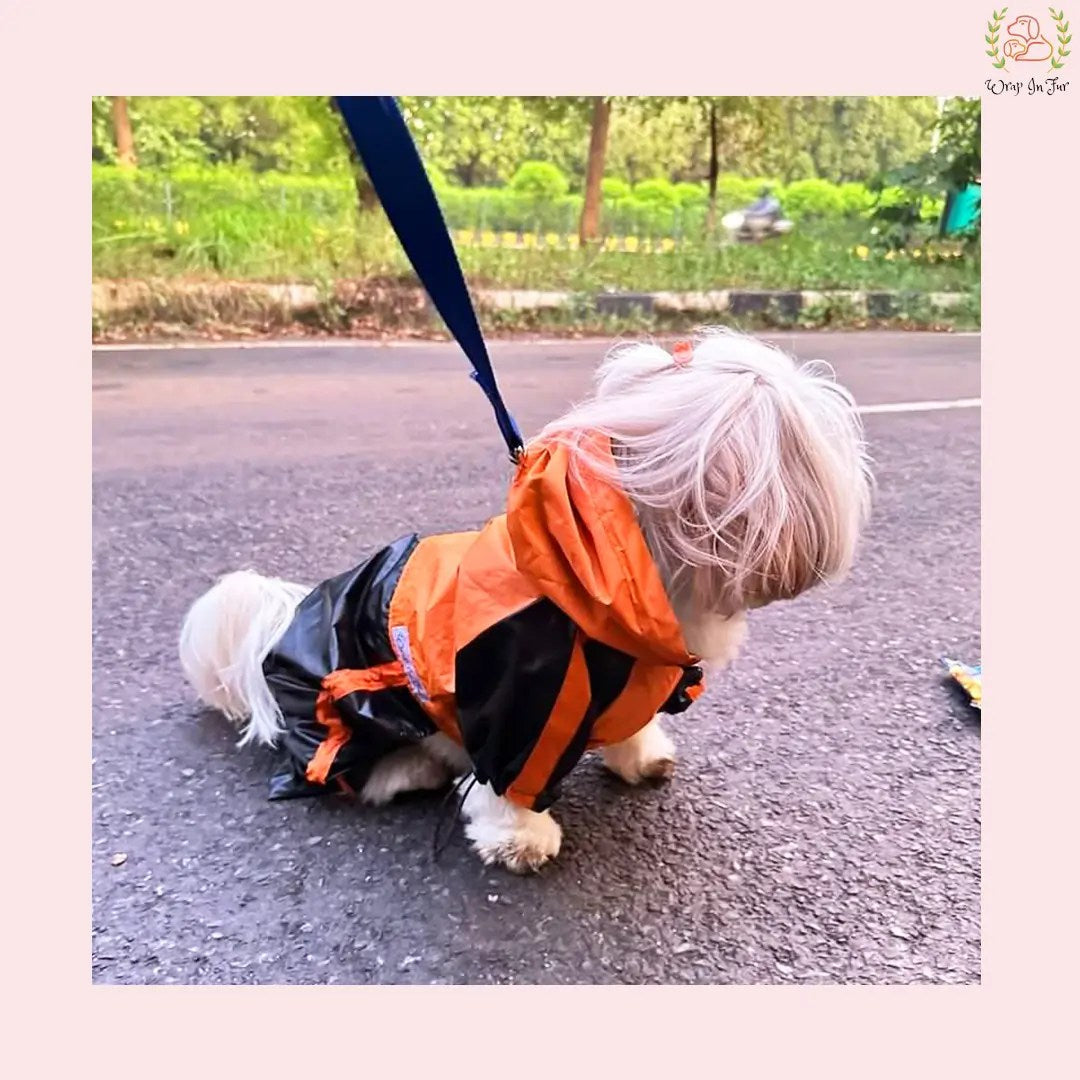 Orange Black Dog Raincoat