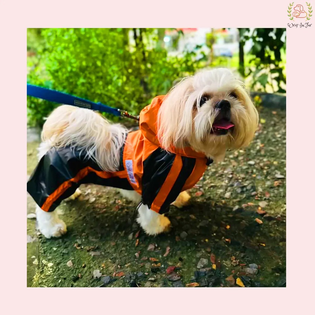 Orange Black Dog Raincoat