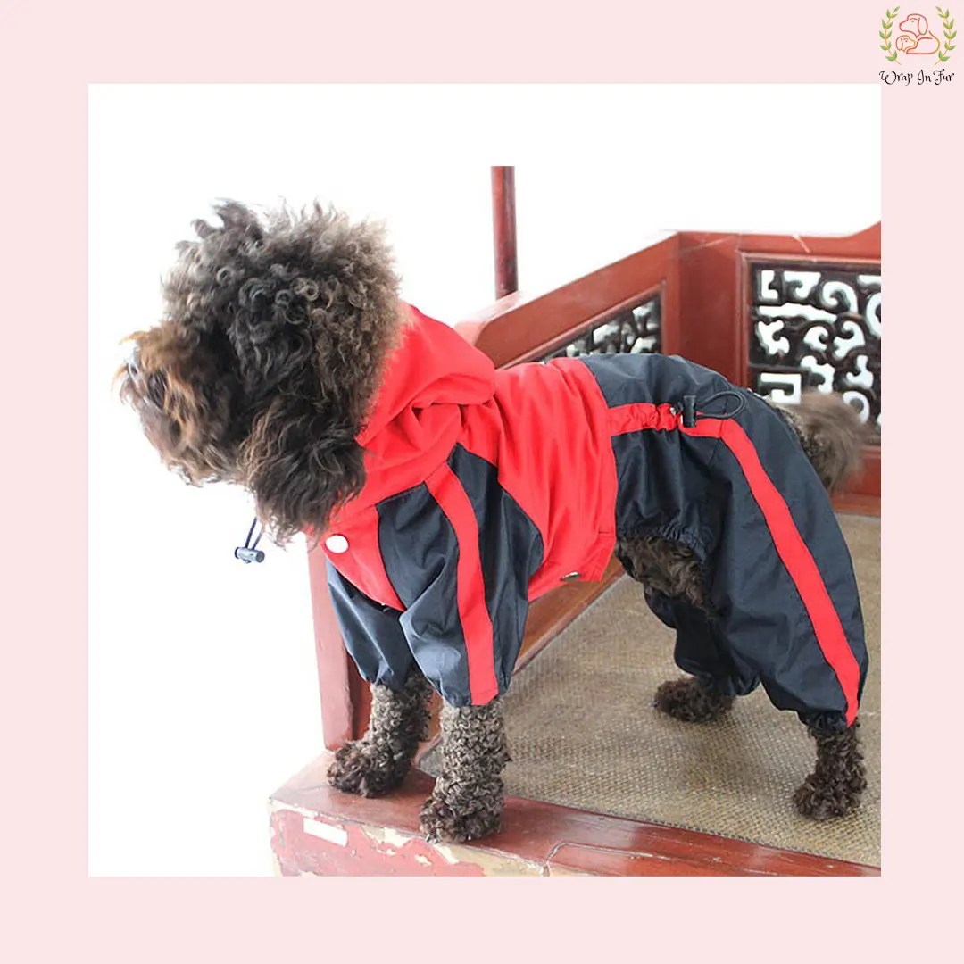 Red Black Raincoat