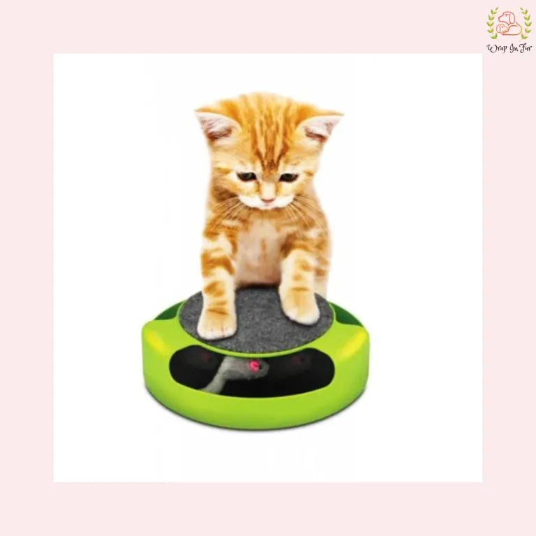 Cat/ Kitten Catch The Moving Interactive Toy