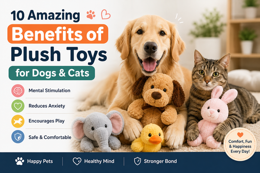 Benefits of Plush Toys for Dogs & Cats 