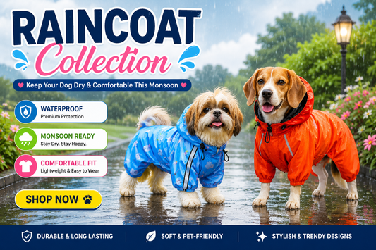 Best Dog Raincoats in India (2026) 
