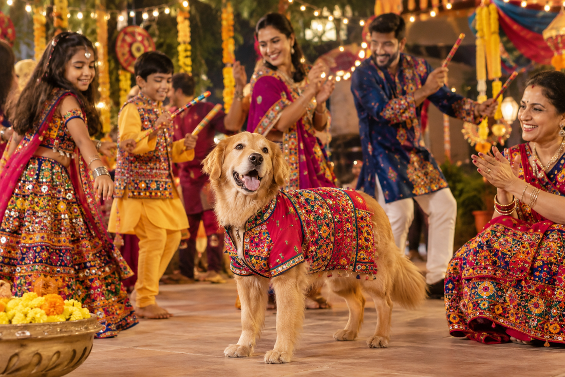 Best Garba & Dandiya Outfits for Dogs