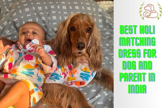 Best Holi Matching Dress for Dog and Parent in India