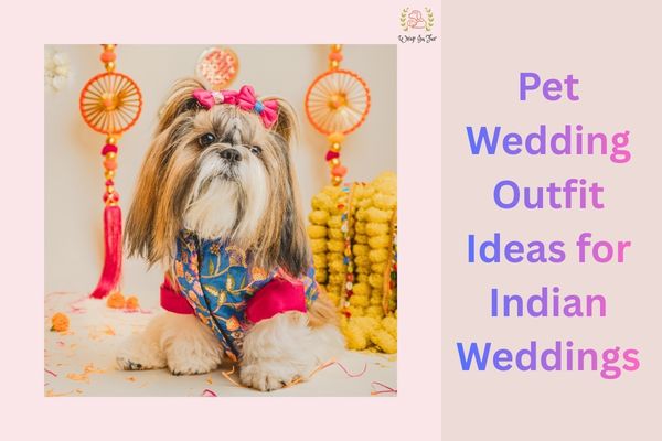 Pet Wedding Outfit Ideas for Indian Weddings