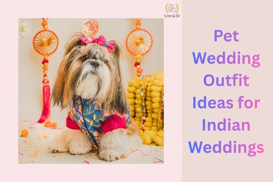 Pet Wedding Outfit Ideas for Indian Weddings
