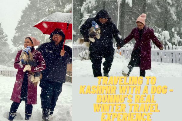 Traveling to Kashmir with a Dog: Bunnu’s Real Winter Travel Experience