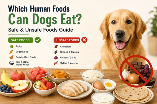 Which Human Foods Can Dogs Eat
