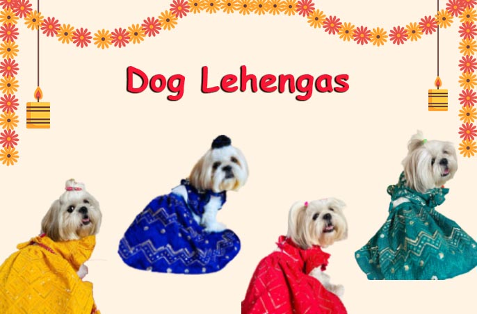 dog lehenga