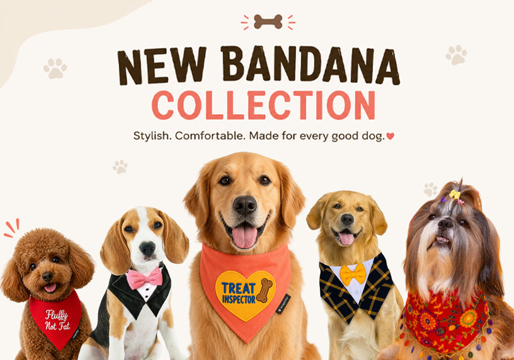 Dog Bandana in India