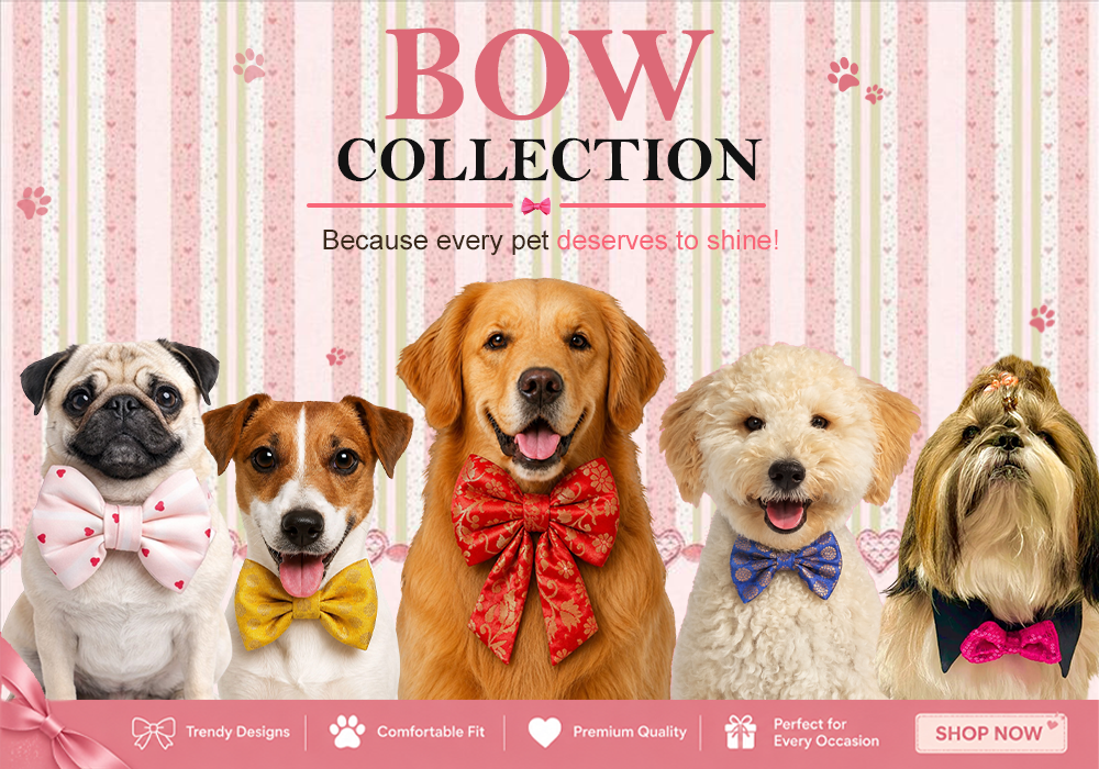 Dog Bows for Dogs & Puppies