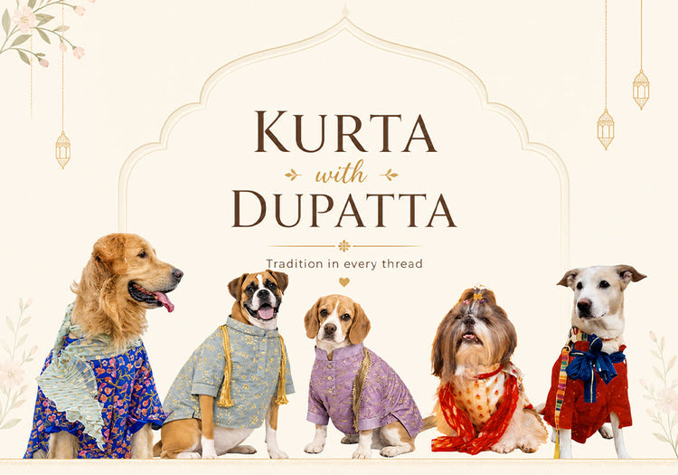 Dog Kurta