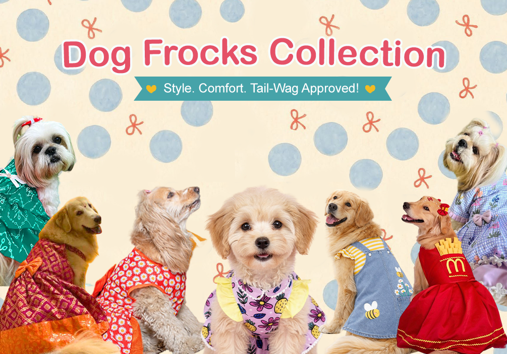 Dog Frock