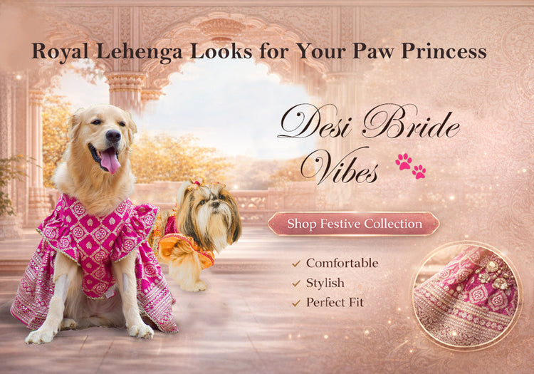Dog Lehenga