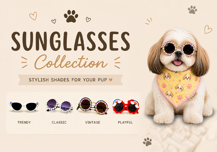 Dog Sunglass