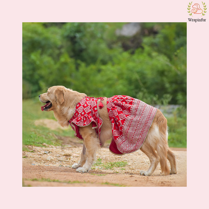 Red Mastani Dog Lehenga Choli