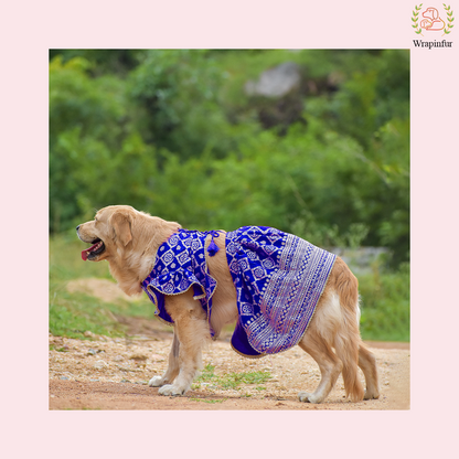 Blue Mastani Dog Lehenga Choli