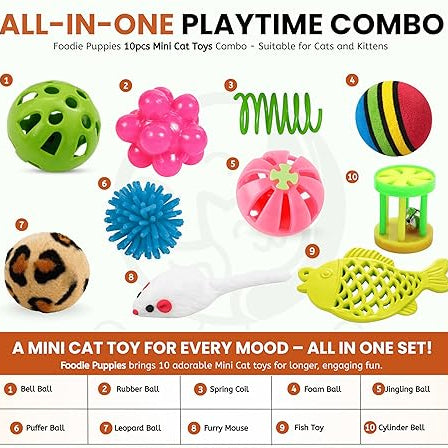 10-Piece Interactive Cat Toy