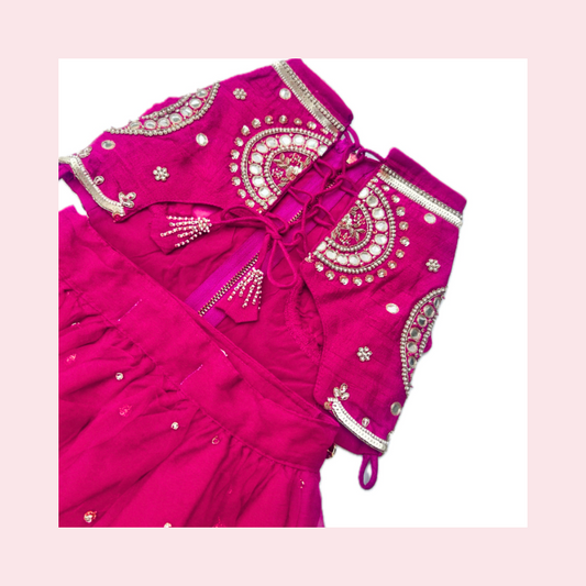 Pink Mirror Dog Lehenga