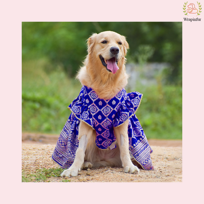 Blue Mastani Dog Lehenga Choli