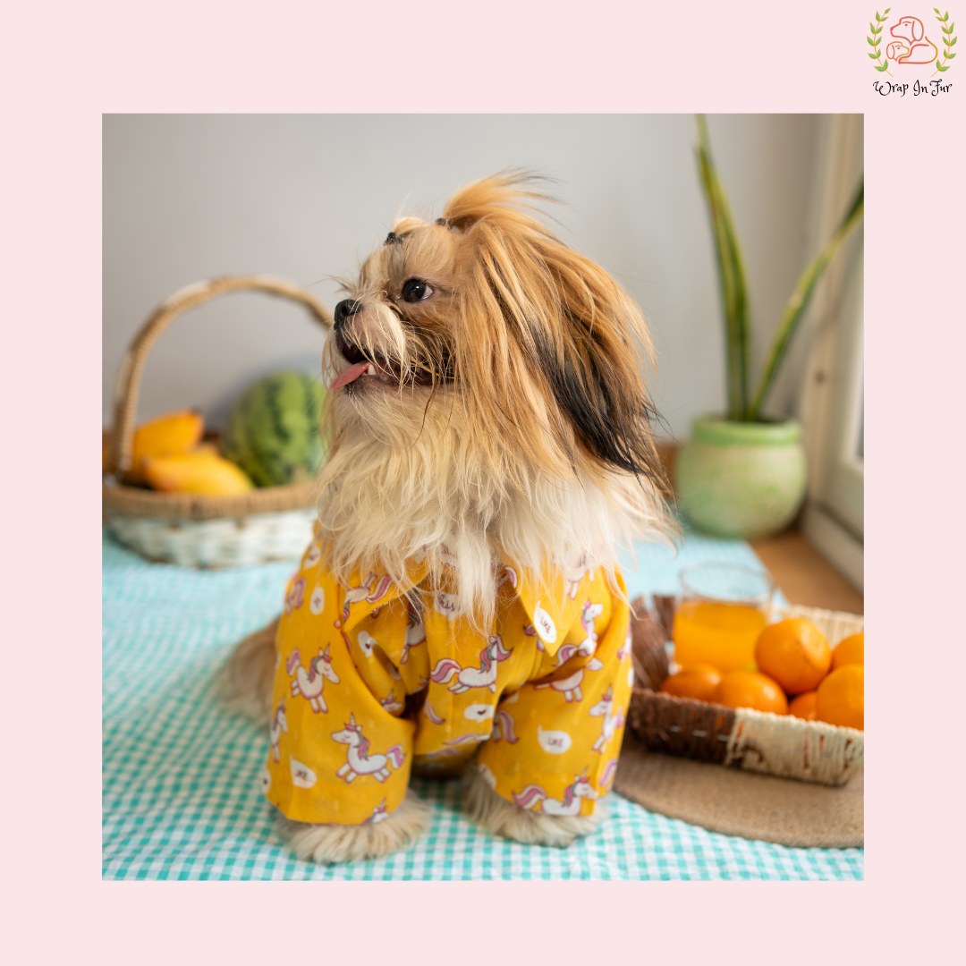 Unipaw Magic Dog Shirt