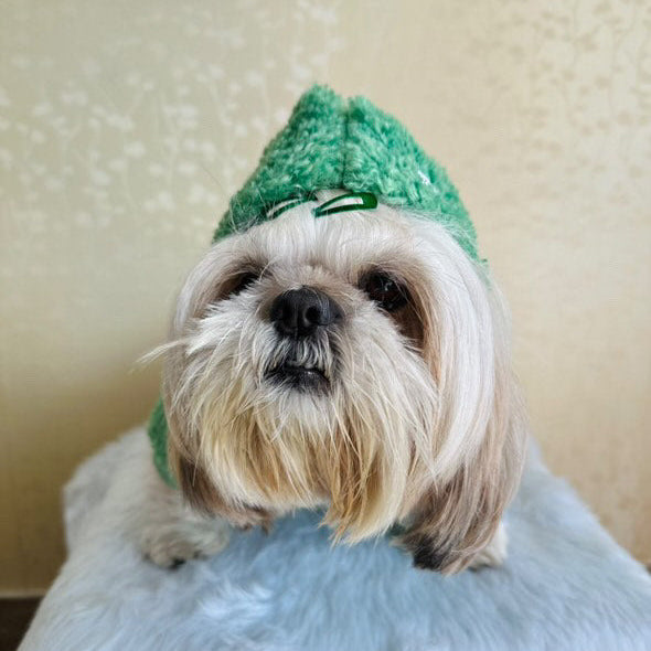 Small dog wearing a green hoodie on a light-colored surface with a neutral background