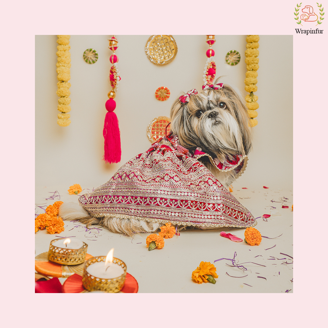 Red Mastani Dog Lehenga Choli