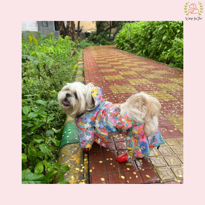 Color Splash Dog Raincoat