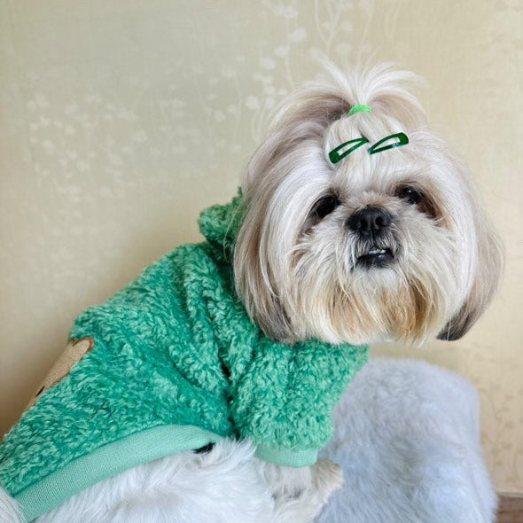 Dog wearing a green sweater with a neutral background