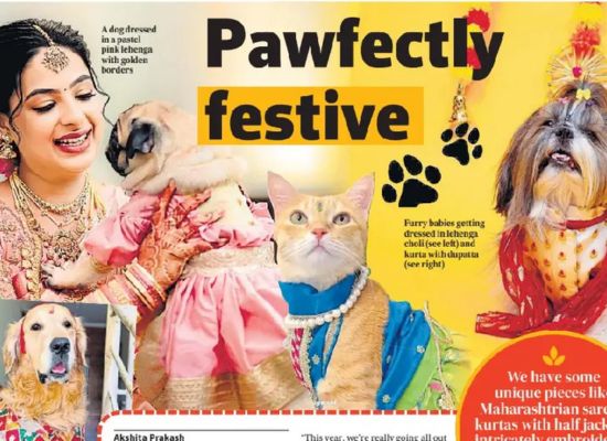 Wrapinfur Featured in Hindustan Times