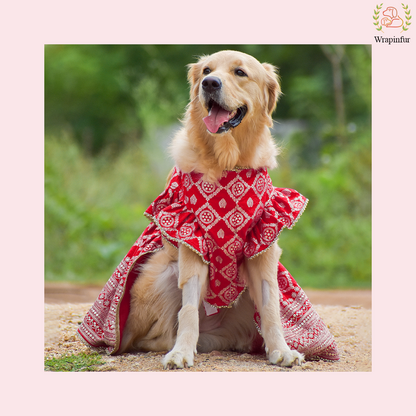 Red Mastani Dog Lehenga Choli