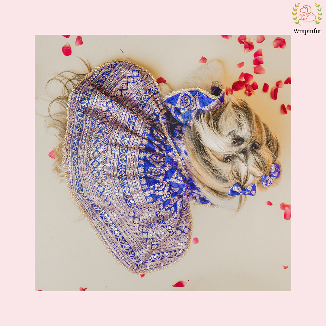 Blue Mastani Dog Lehenga Choli