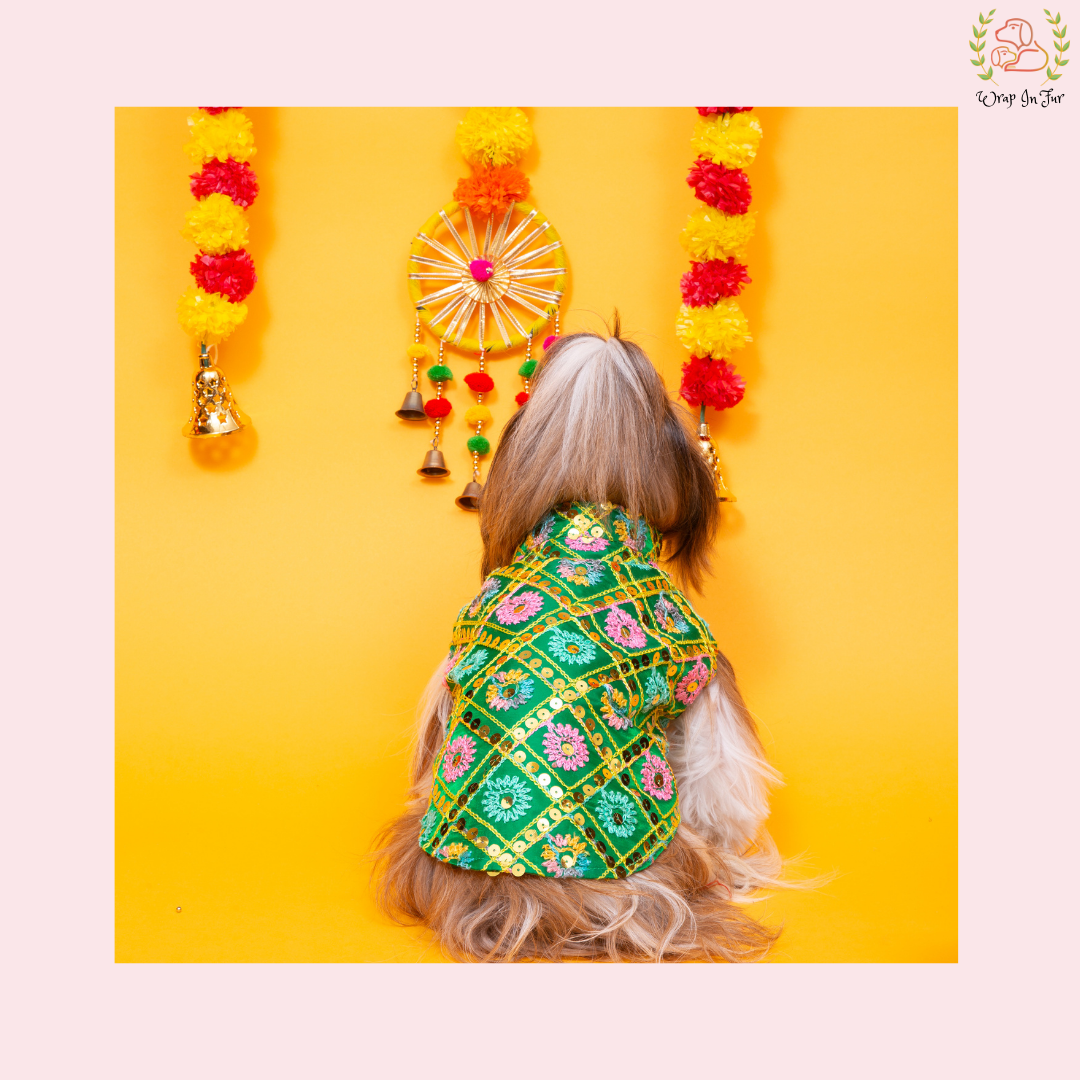 Green Jhilmil Dog Jacket