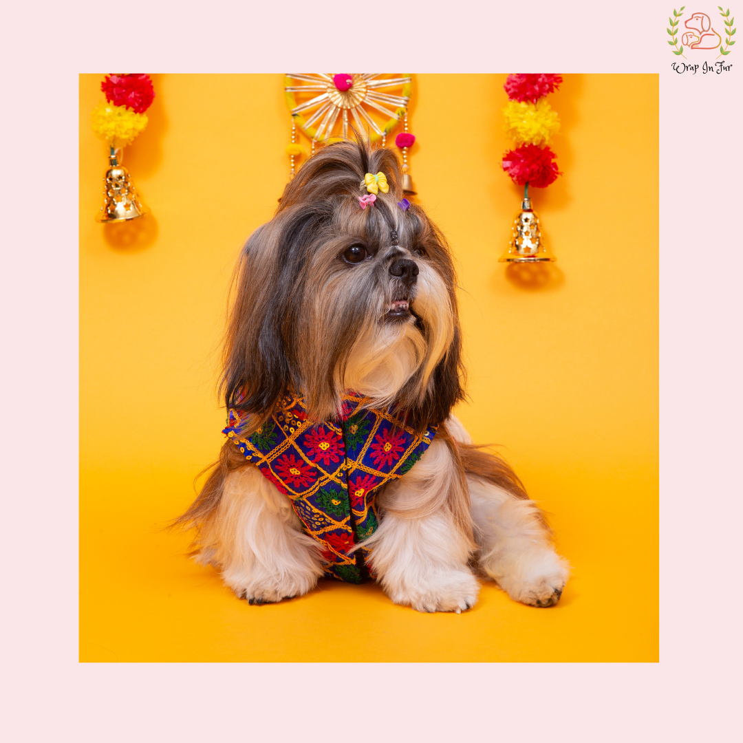 Blue Jhilmil Dog Jacket