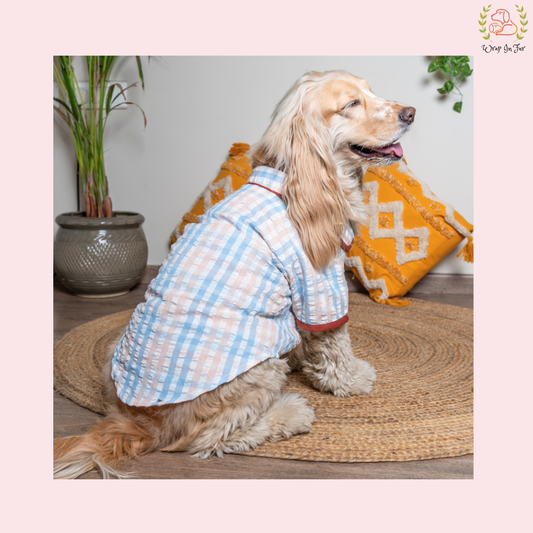 Gentle Barkman Dog Shirt